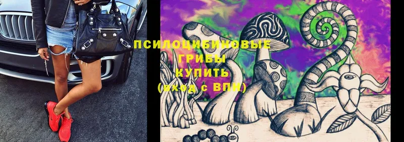 Галлюциногенные грибы MAGIC MUSHROOMS  Азов 